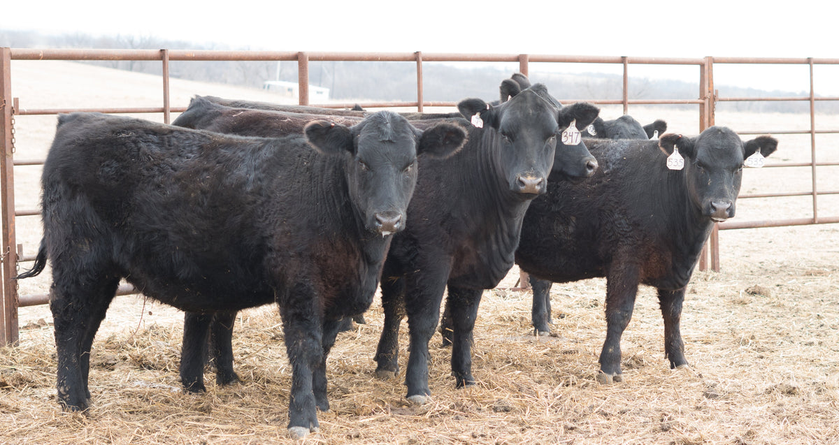 Why Every Pound of Feed Matters
